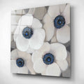 Epic Art 'White Anemone II' by Tim O'Toole, Acrylic Glass Wall Art