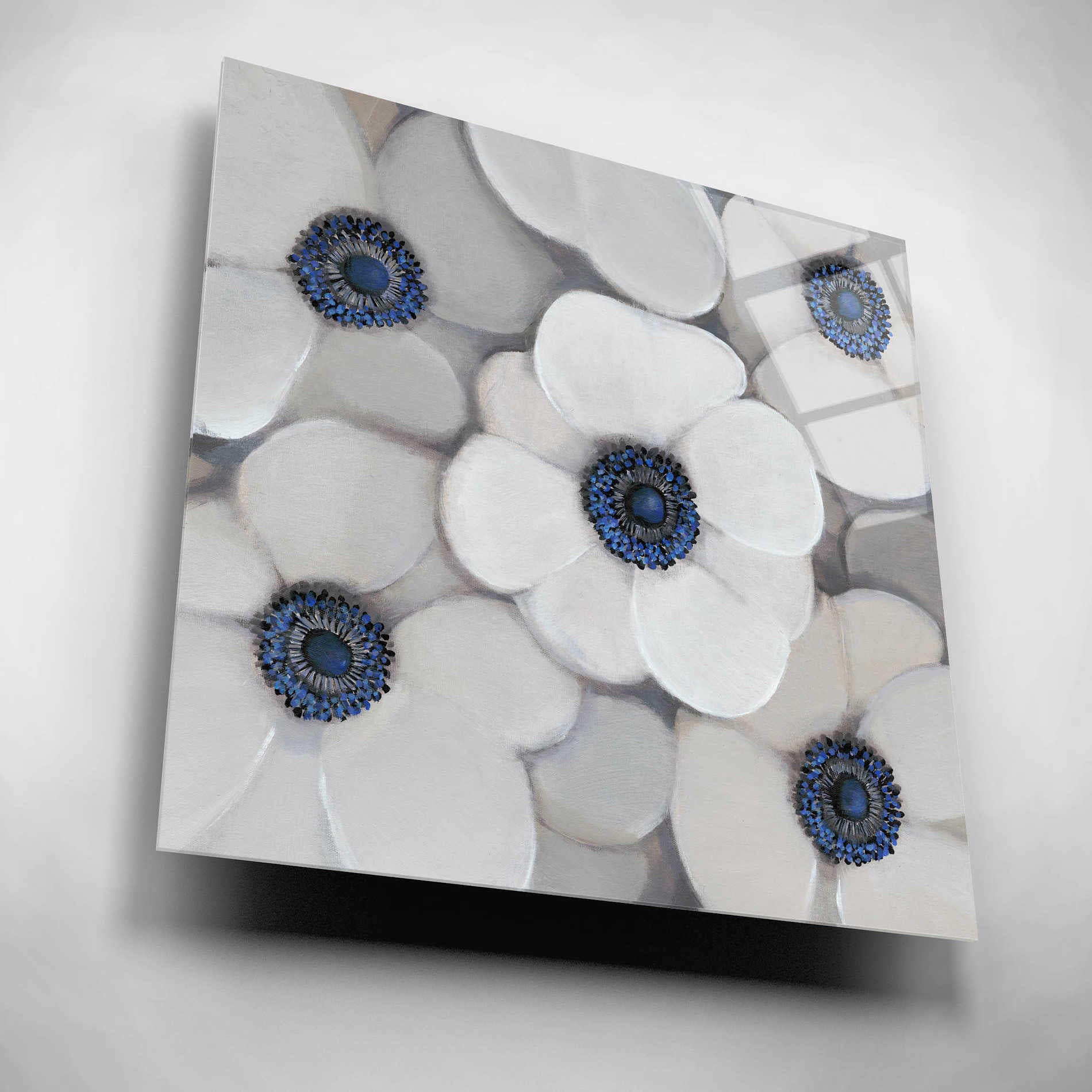 Epic Art 'White Anemone I' by Tim O'Toole, Acrylic Glass Wall Art,12x12