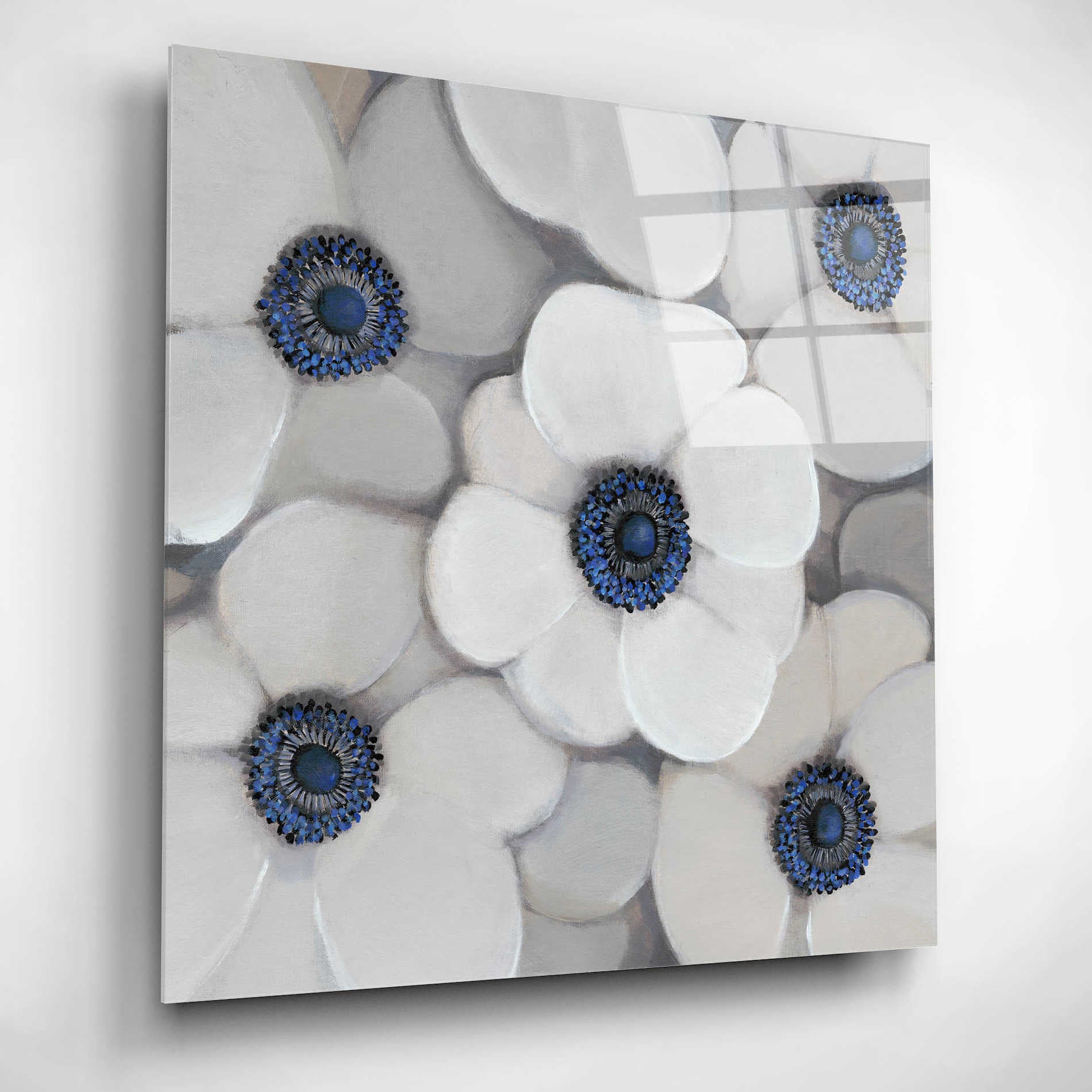 Epic Art 'White Anemone I' by Tim O'Toole, Acrylic Glass Wall Art,12x12