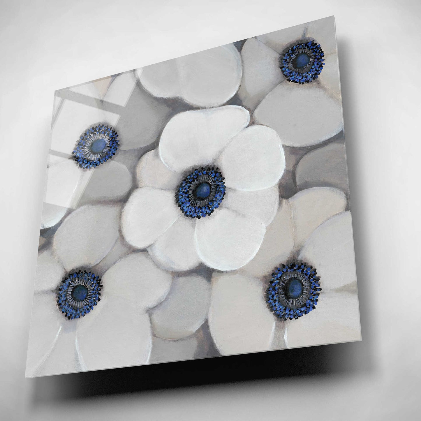 Epic Art 'White Anemone I' by Tim O'Toole, Acrylic Glass Wall Art,12x12