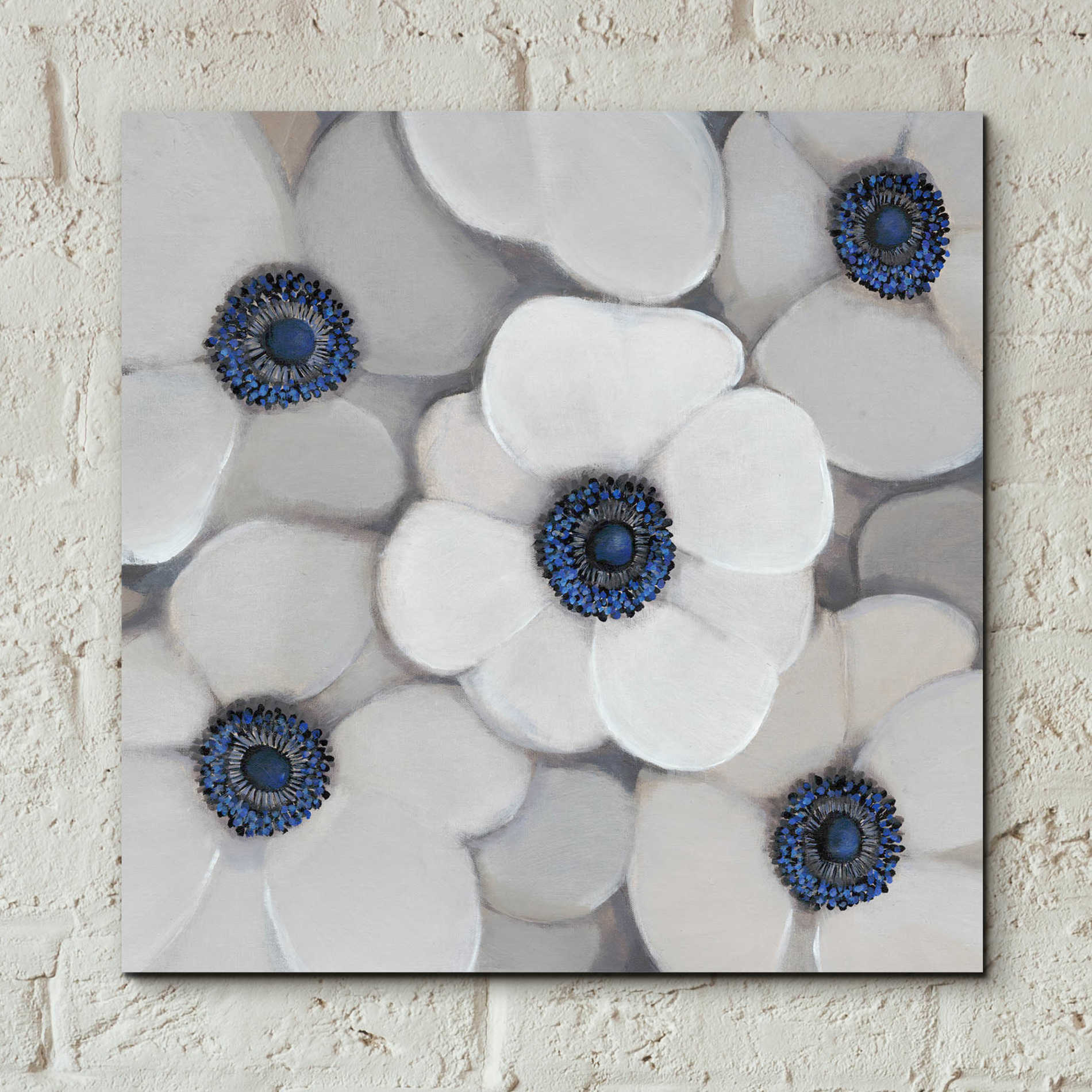 Epic Art 'White Anemone I' by Tim O'Toole, Acrylic Glass Wall Art,12x12