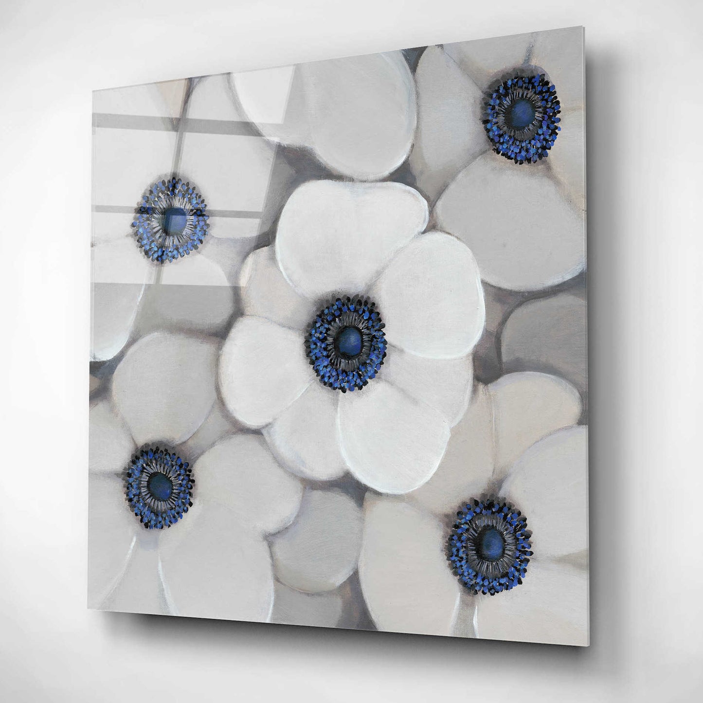 Epic Art 'White Anemone I' by Tim O'Toole, Acrylic Glass Wall Art,12x12