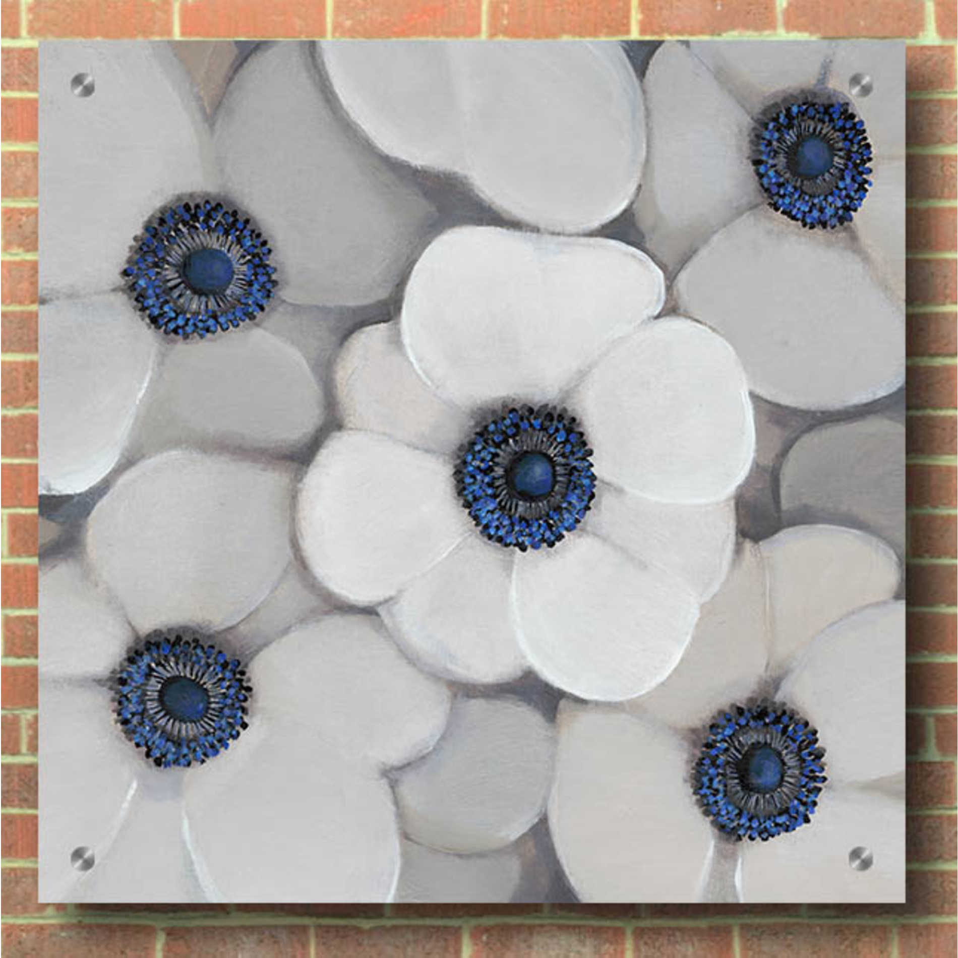 Epic Art 'White Anemone I' by Tim O'Toole, Acrylic Glass Wall Art,36x36