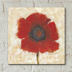 Epic Art 'Red Poppy Portrait II' by Tim O'Toole, Acrylic Glass Wall Art,12x12