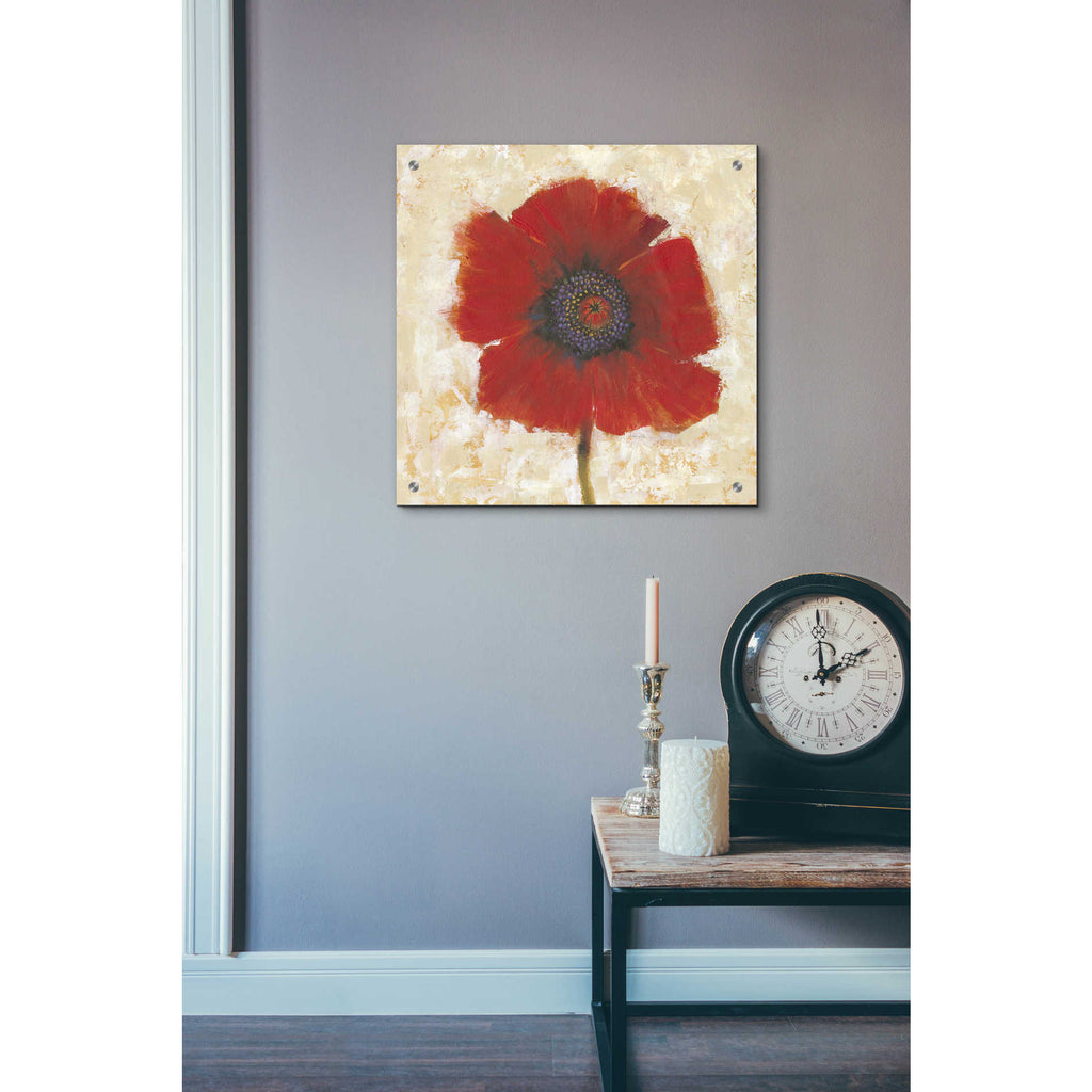 Epic Art 'Red Poppy Portrait II' by Tim O'Toole, Acrylic Glass Wall Art,24x24