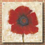 Epic Art 'Red Poppy Portrait II' by Tim O'Toole, Acrylic Glass Wall Art,36x36