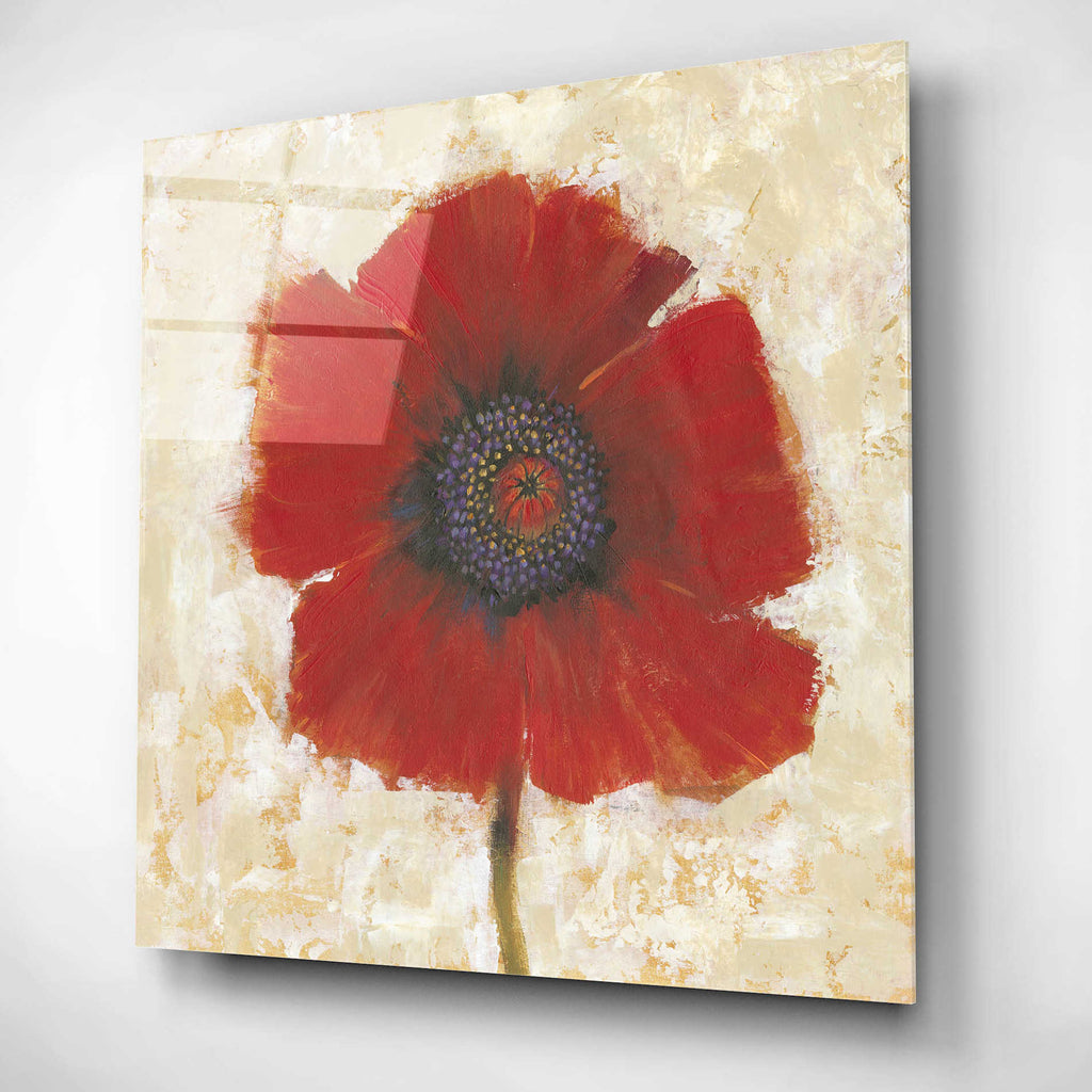 Epic Art 'Red Poppy Portrait II' by Tim O'Toole, Acrylic Glass Wall Art