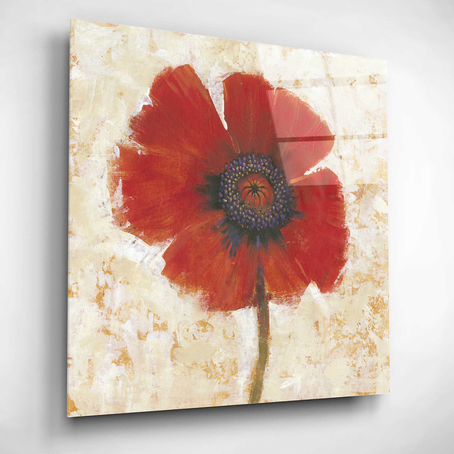 Epic Art 'Red Poppy Portrait I' by Tim O'Toole, Acrylic Glass Wall Art,12x12