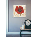 Epic Art 'Red Poppy Portrait I' by Tim O'Toole, Acrylic Glass Wall Art,24x24