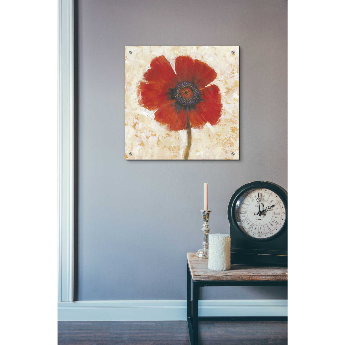Epic Art 'Red Poppy Portrait I' by Tim O'Toole, Acrylic Glass Wall Art,24x24