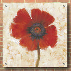 Epic Art 'Red Poppy Portrait I' by Tim O'Toole, Acrylic Glass Wall Art,36x36