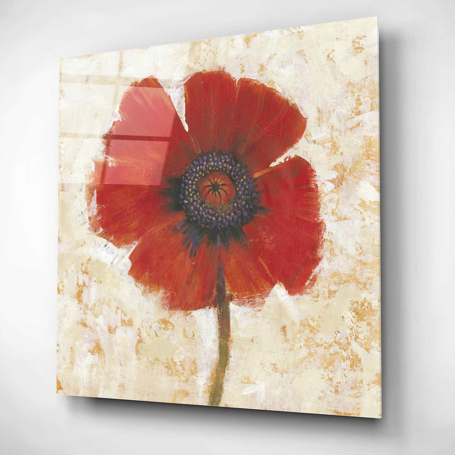 Epic Art 'Red Poppy Portrait I' by Tim O'Toole, Acrylic Glass Wall Art