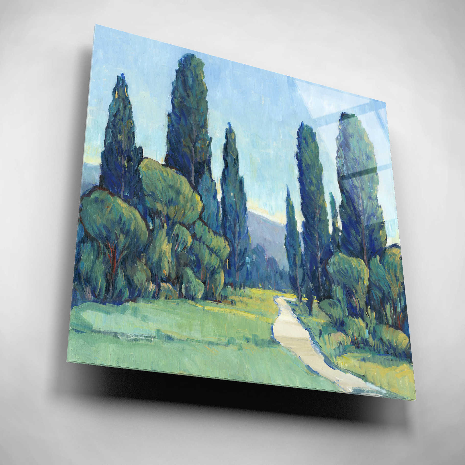 Epic Art 'Cypress Path II' by Tim O'Toole, Acrylic Glass Wall Art,12x12
