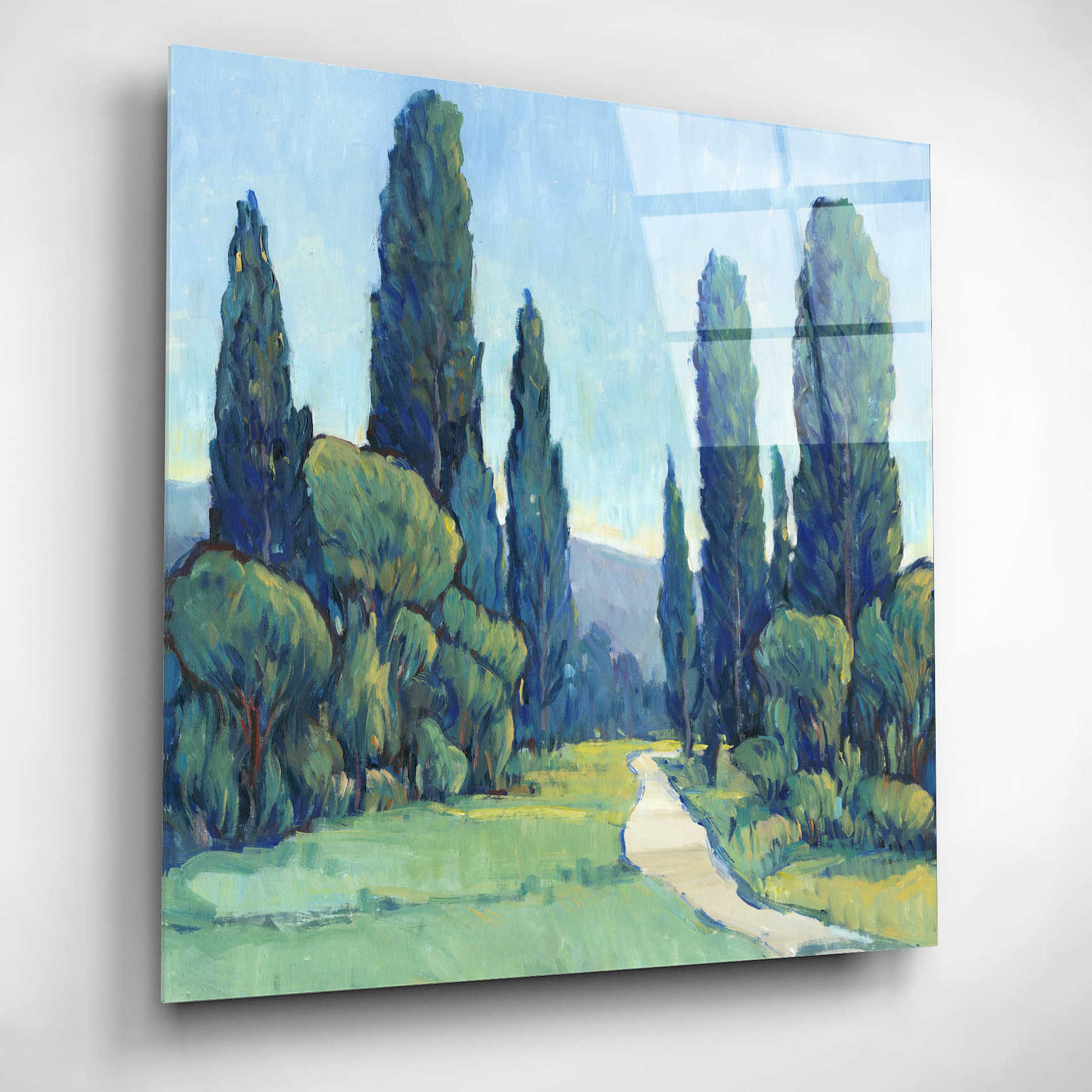 Epic Art 'Cypress Path II' by Tim O'Toole, Acrylic Glass Wall Art,12x12