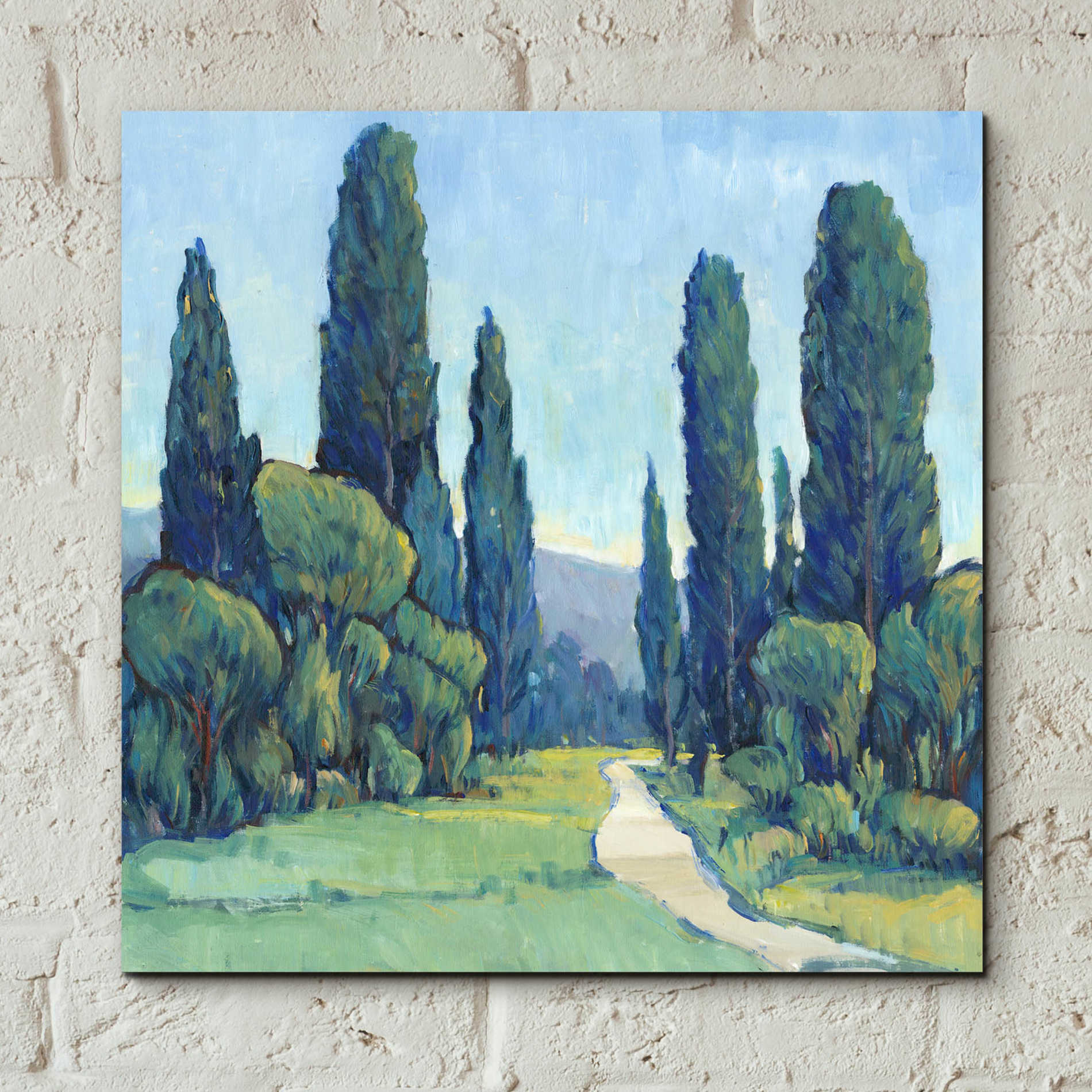 Epic Art 'Cypress Path II' by Tim O'Toole, Acrylic Glass Wall Art,12x12