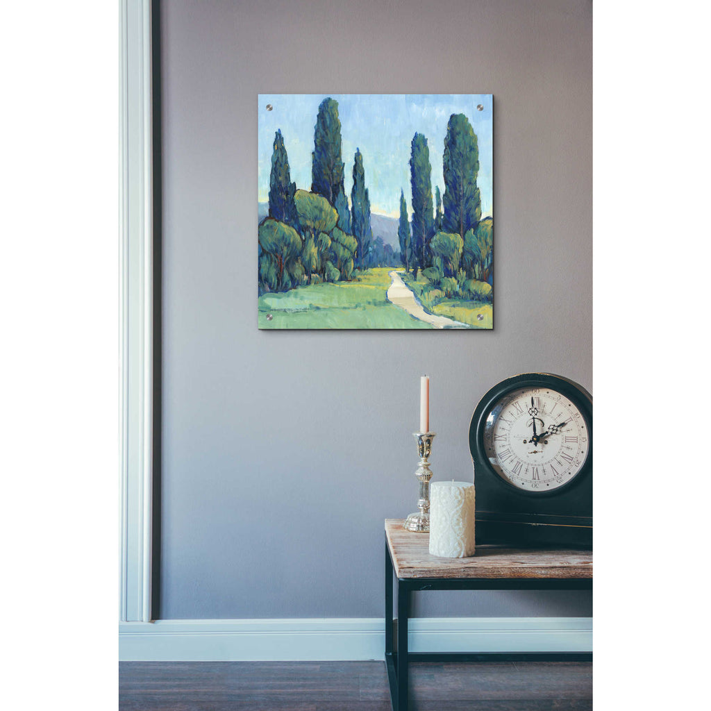 Epic Art 'Cypress Path II' by Tim O'Toole, Acrylic Glass Wall Art,24x24
