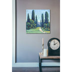 Epic Art 'Cypress Path II' by Tim O'Toole, Acrylic Glass Wall Art,24x24
