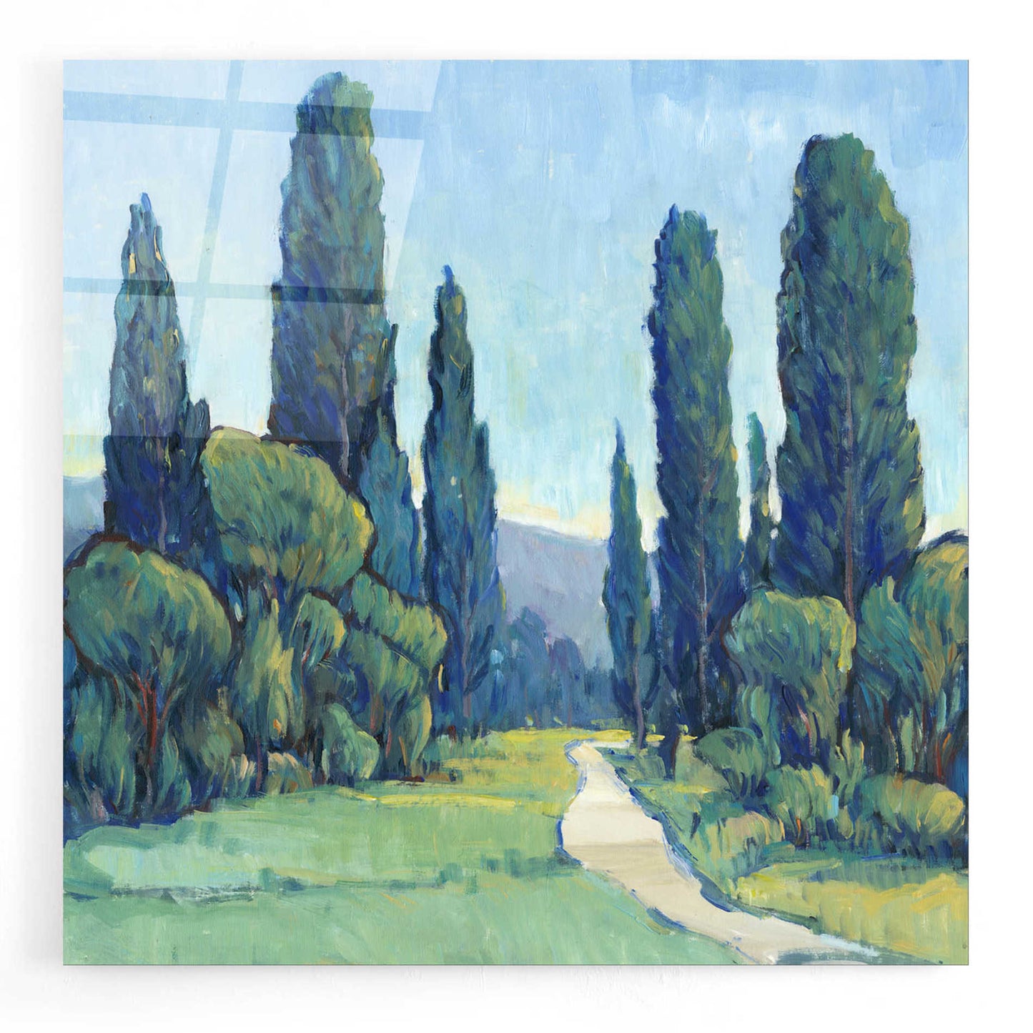 Epic Art 'Cypress Path II' by Tim O'Toole, Acrylic Glass Wall Art,24x24