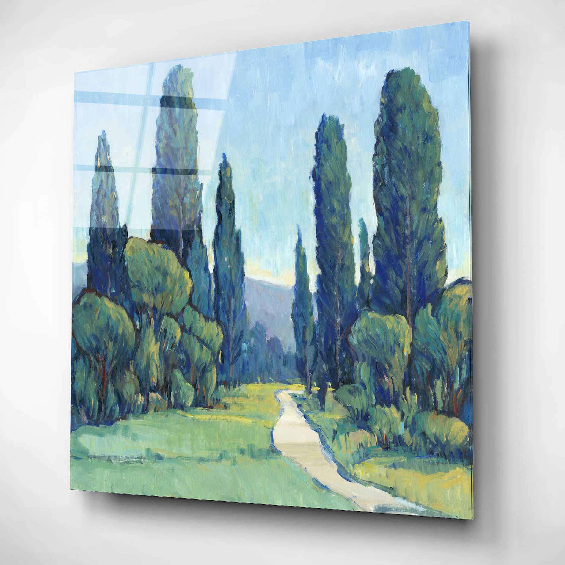 Epic Art 'Cypress Path II' by Tim O'Toole, Acrylic Glass Wall Art