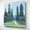 Epic Art 'Cypress Path II' by Tim O'Toole, Acrylic Glass Wall Art