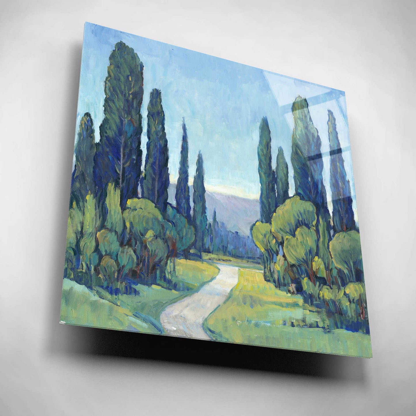 Epic Art 'Cypress Path I' by Tim O'Toole, Acrylic Glass Wall Art,12x12