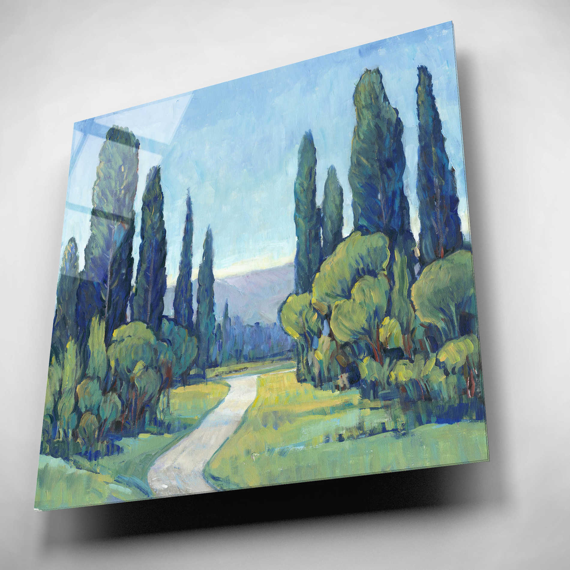 Epic Art 'Cypress Path I' by Tim O'Toole, Acrylic Glass Wall Art,12x12