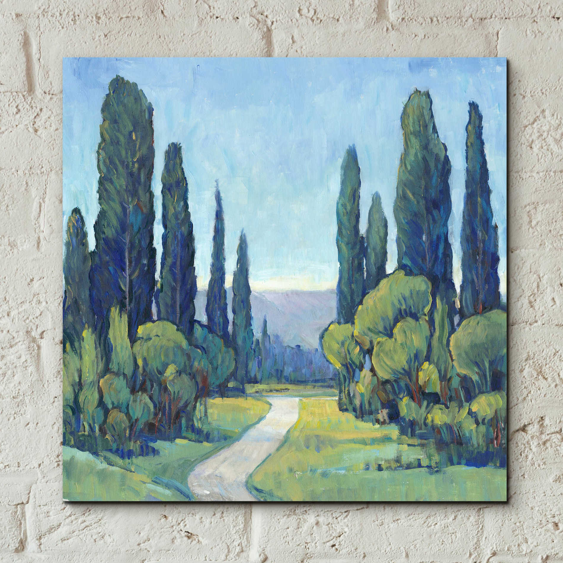 Epic Art 'Cypress Path I' by Tim O'Toole, Acrylic Glass Wall Art,12x12