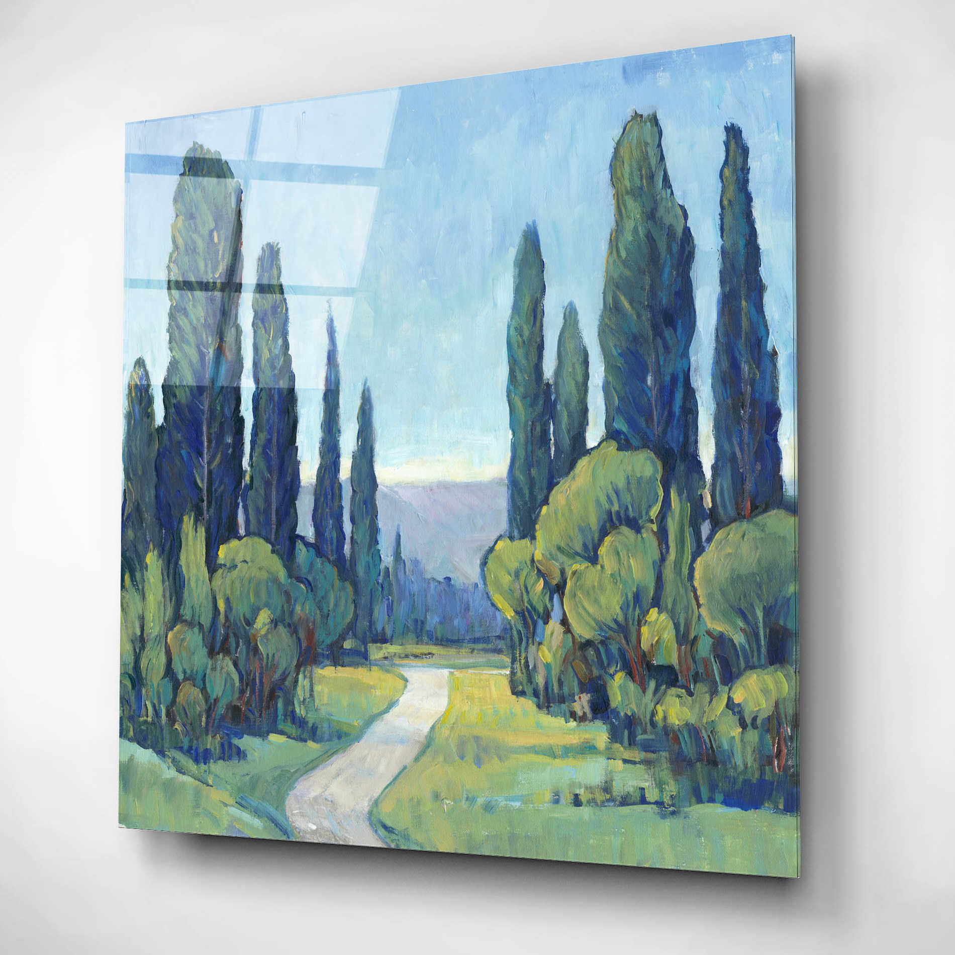 Epic Art 'Cypress Path I' by Tim O'Toole, Acrylic Glass Wall Art,12x12