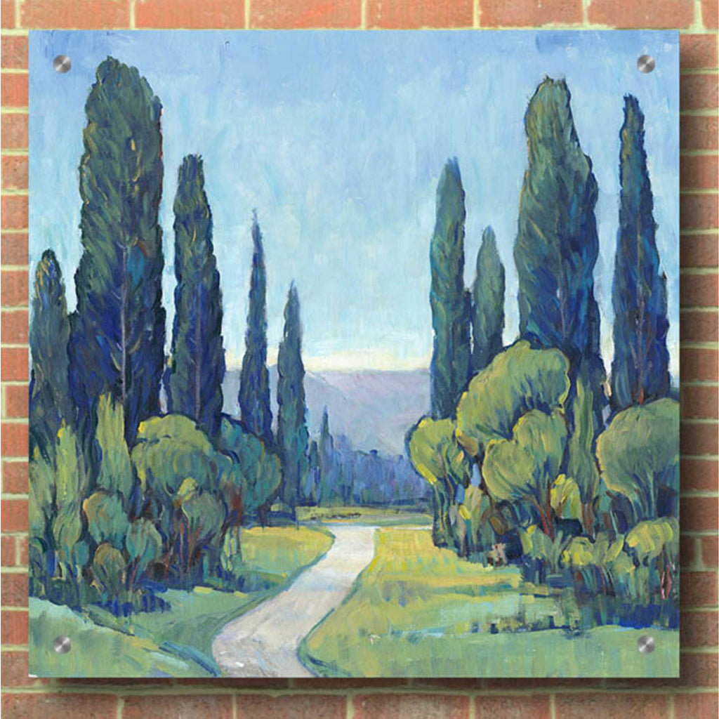 Epic Art 'Cypress Path I' by Tim O'Toole, Acrylic Glass Wall Art,36x36