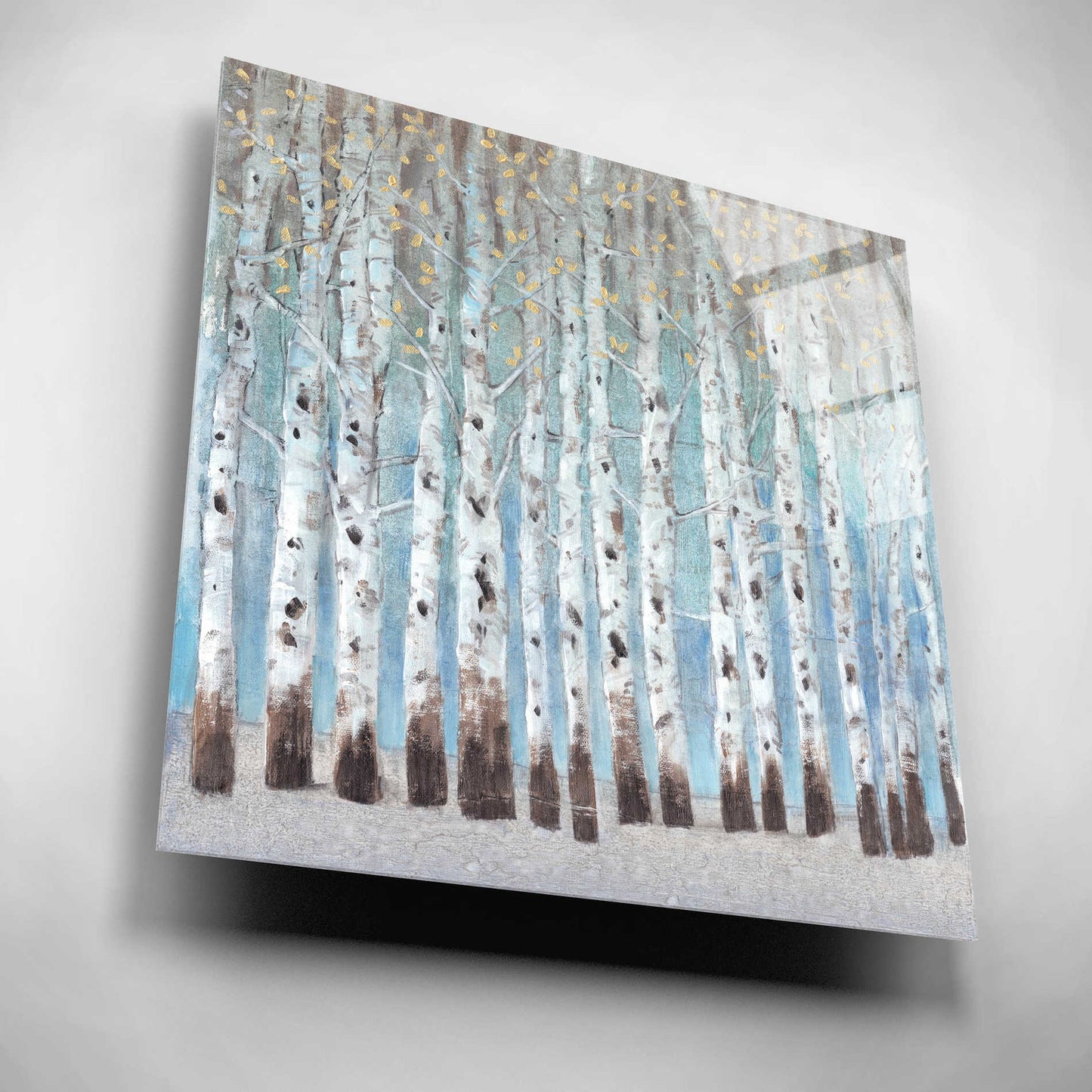 Epic Art 'Into the Forest II' by Tim O'Toole, Acrylic Glass Wall Art,12x12
