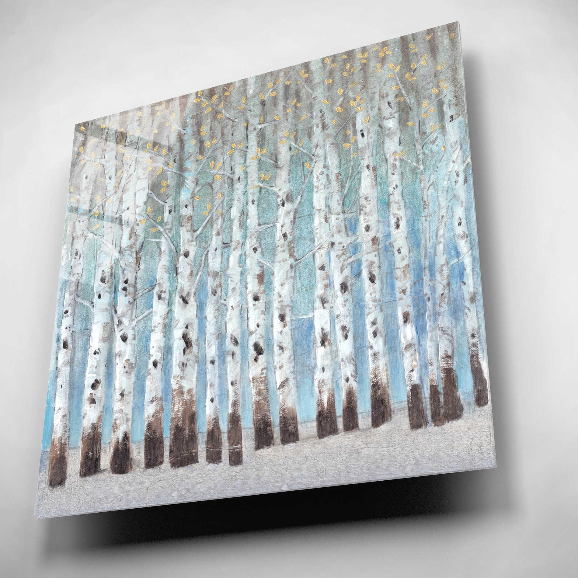 Epic Art 'Into the Forest II' by Tim O'Toole, Acrylic Glass Wall Art,12x12