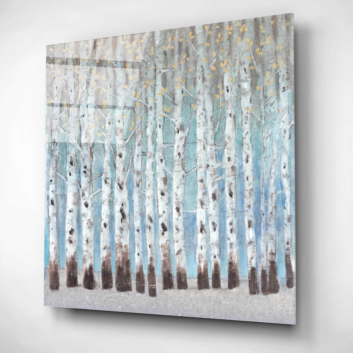 Epic Art 'Into the Forest II' by Tim O'Toole, Acrylic Glass Wall Art,12x12