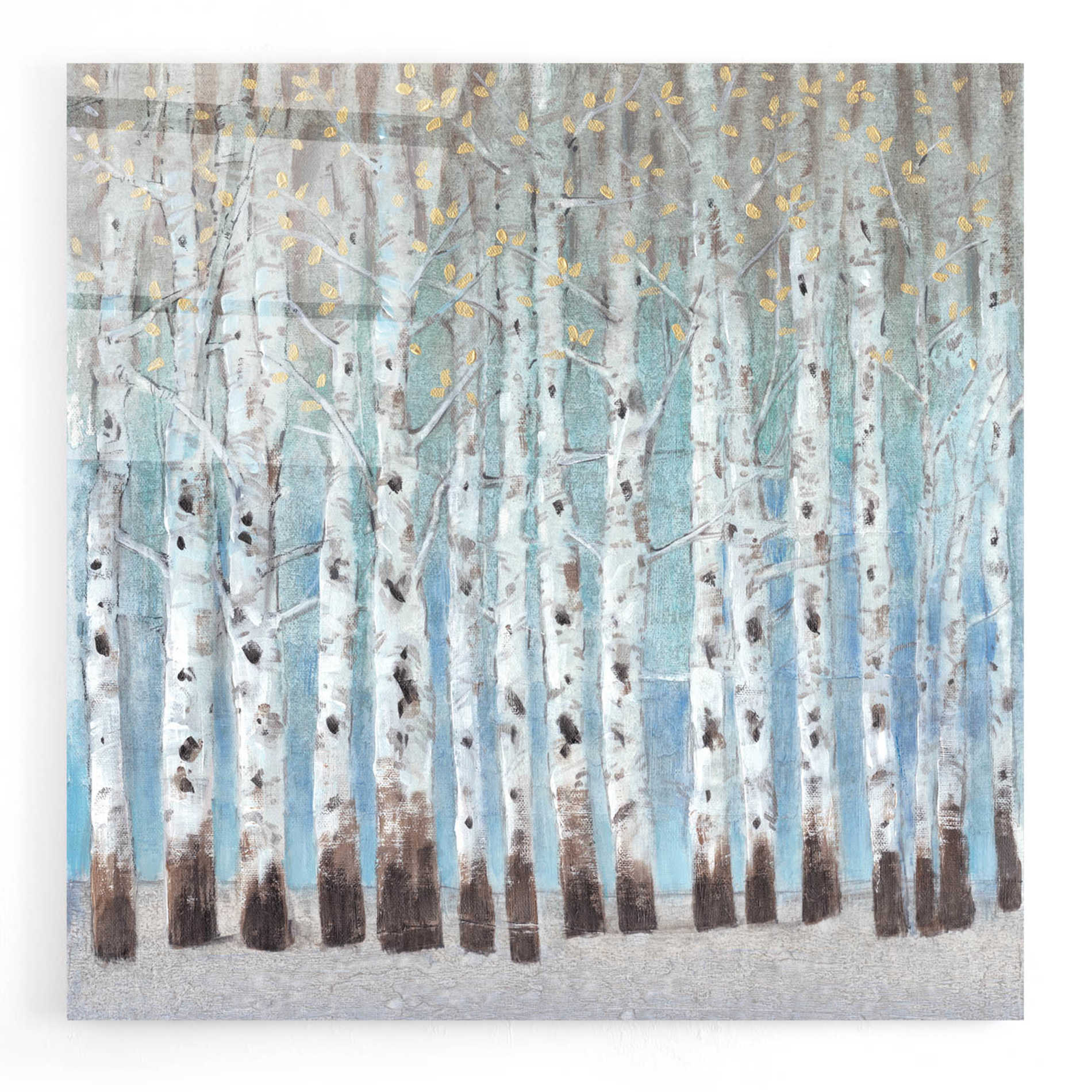 Epic Art 'Into the Forest II' by Tim O'Toole, Acrylic Glass Wall Art,24x24
