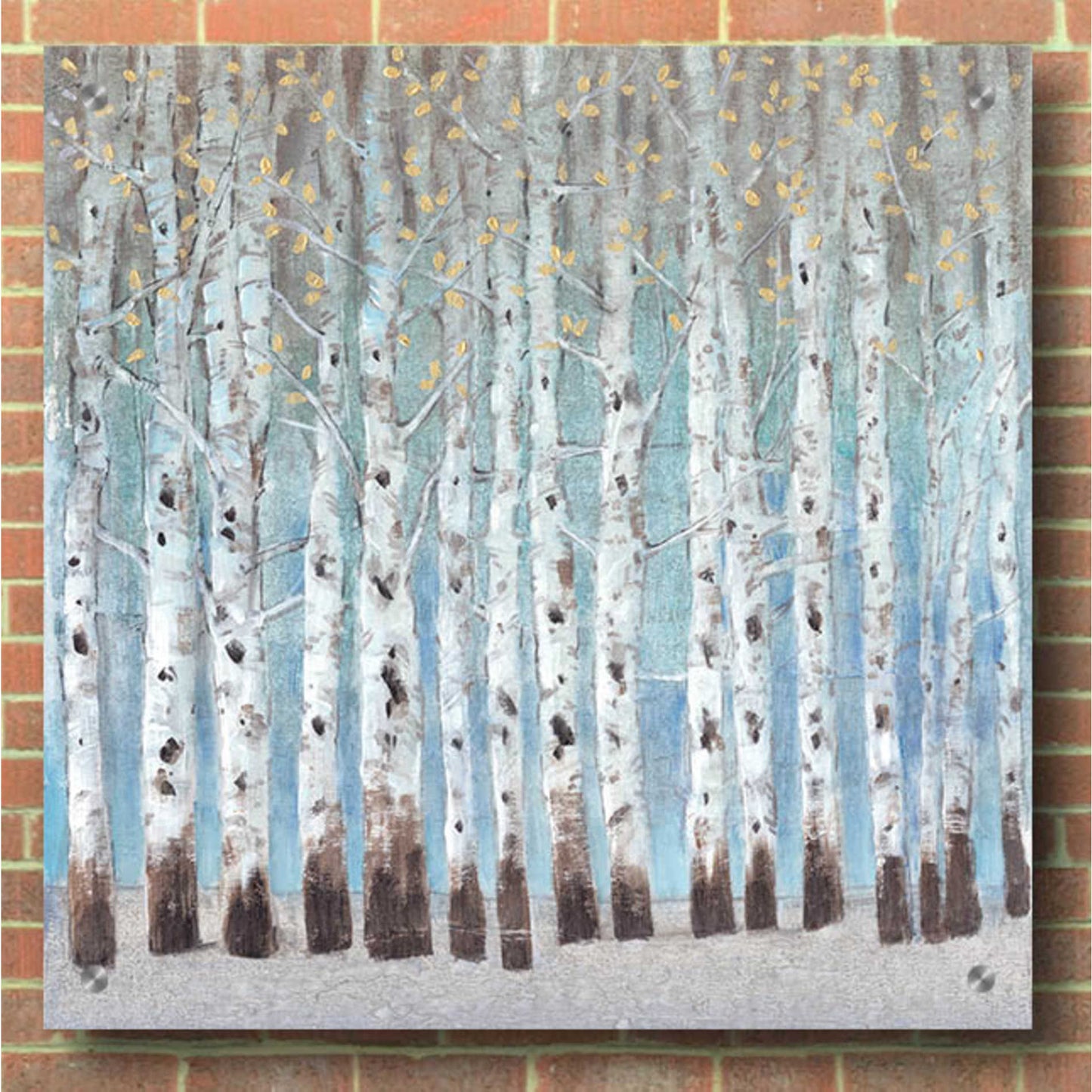 Epic Art 'Into the Forest II' by Tim O'Toole, Acrylic Glass Wall Art,36x36