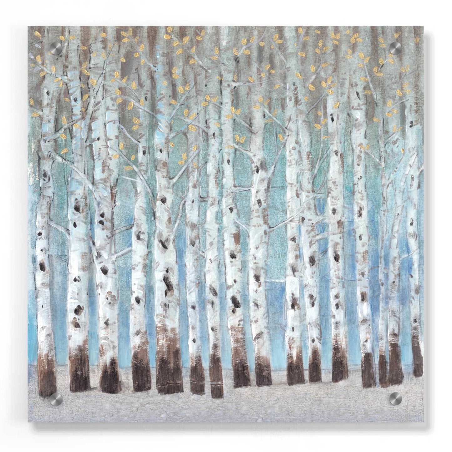 Epic Art 'Into the Forest II' by Tim O'Toole, Acrylic Glass Wall Art,36x36
