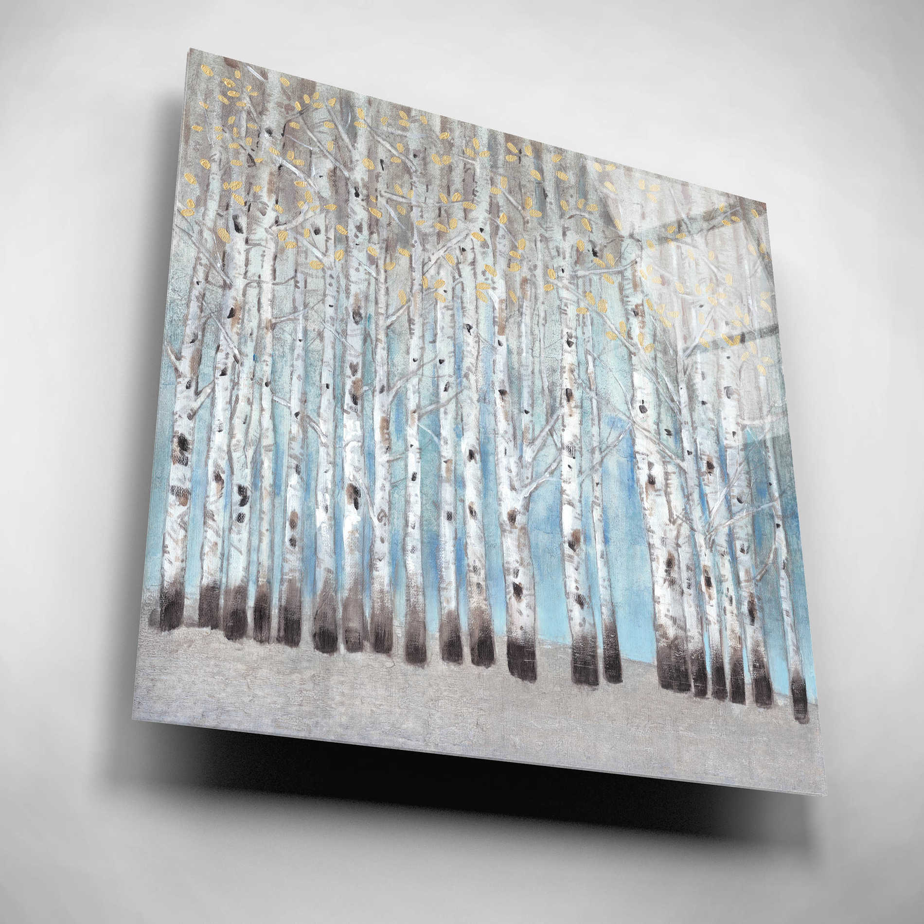 Epic Art 'Into the Forest I' by Tim O'Toole, Acrylic Glass Wall Art,12x12