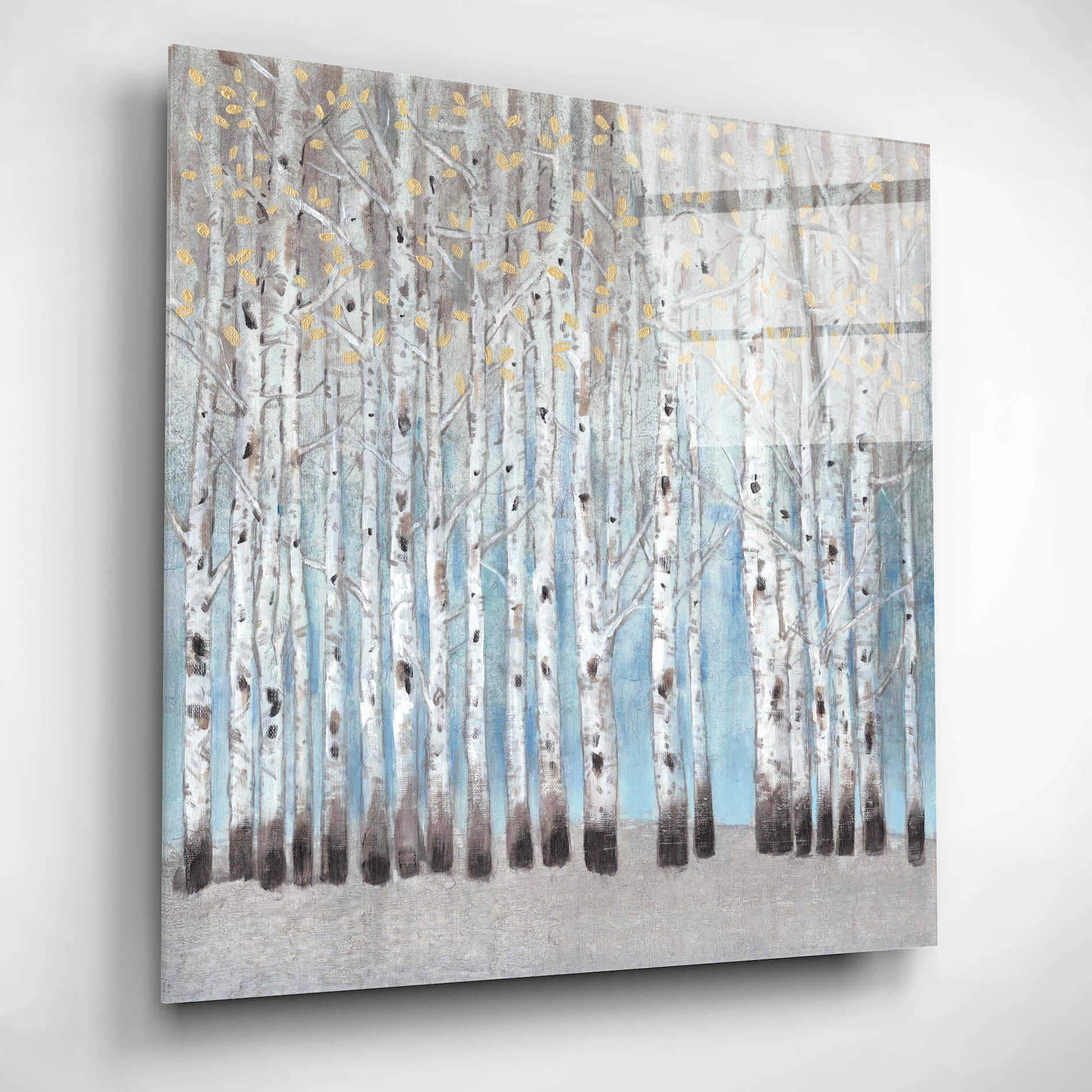 Epic Art 'Into the Forest I' by Tim O'Toole, Acrylic Glass Wall Art,12x12