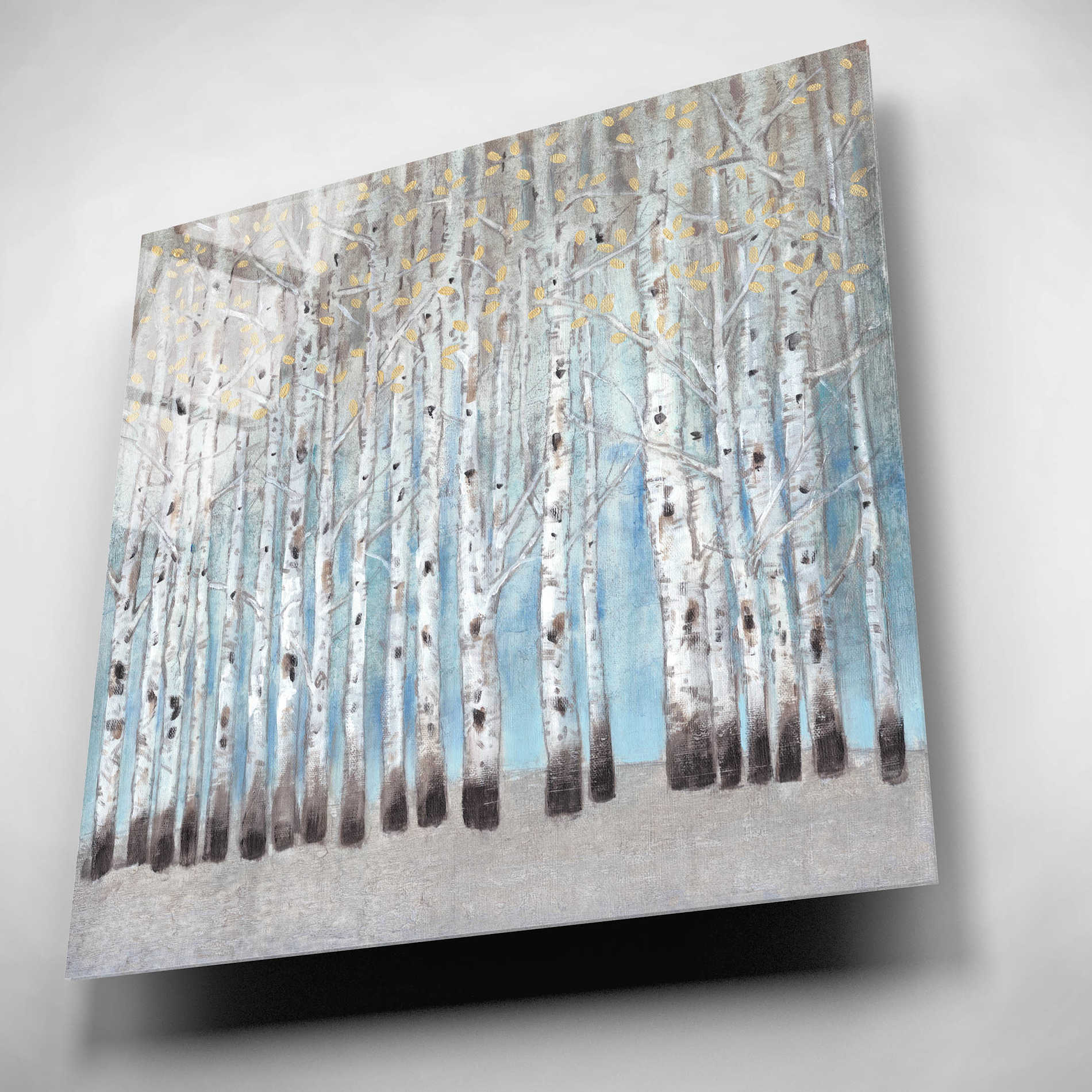 Epic Art 'Into the Forest I' by Tim O'Toole, Acrylic Glass Wall Art,12x12