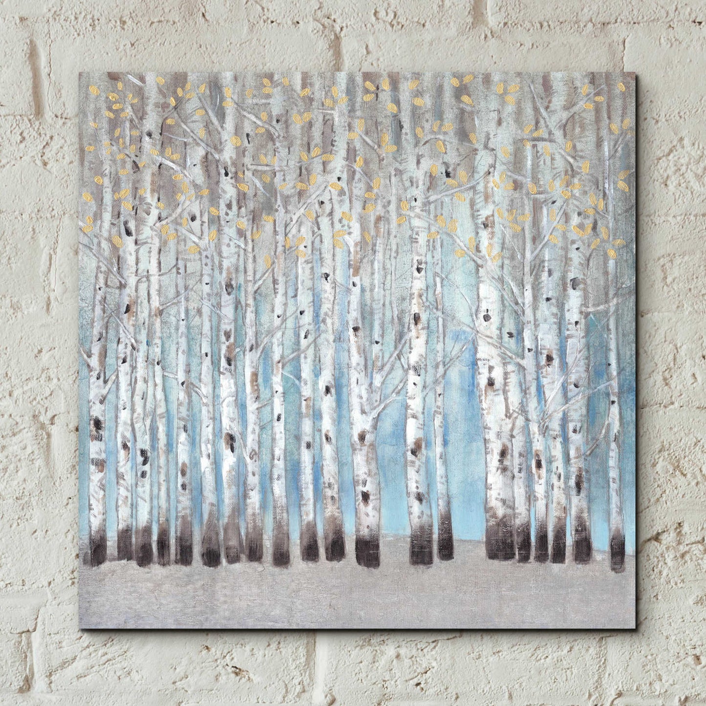 Epic Art 'Into the Forest I' by Tim O'Toole, Acrylic Glass Wall Art,12x12