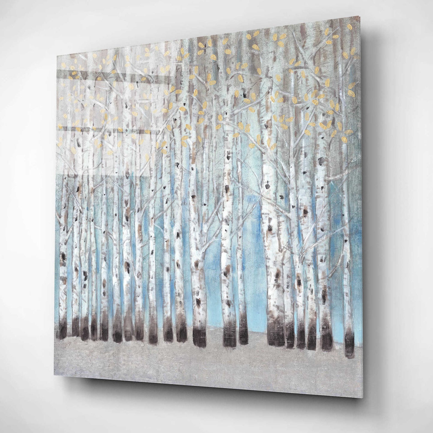 Epic Art 'Into the Forest I' by Tim O'Toole, Acrylic Glass Wall Art,12x12