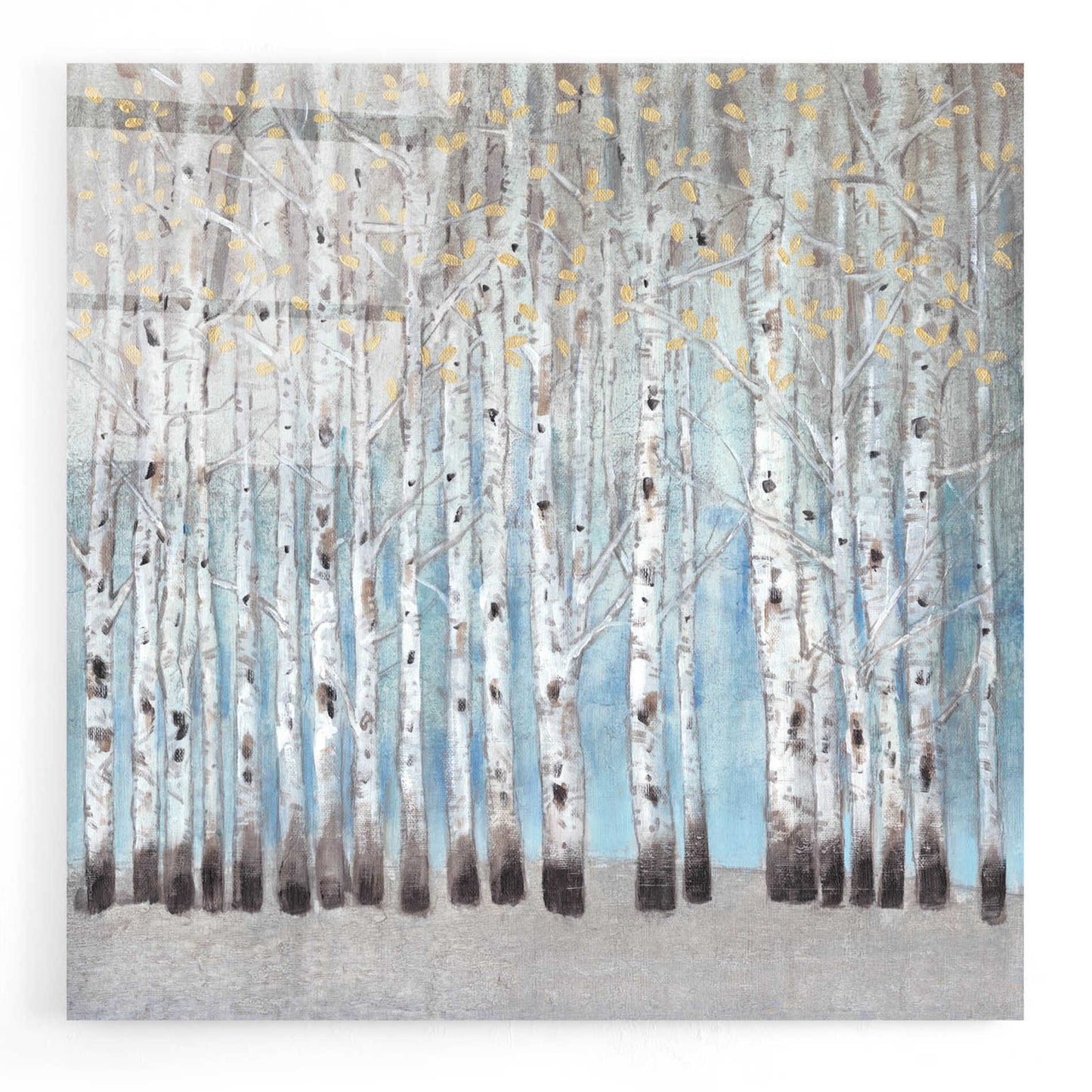 Epic Art 'Into the Forest I' by Tim O'Toole, Acrylic Glass Wall Art,24x24