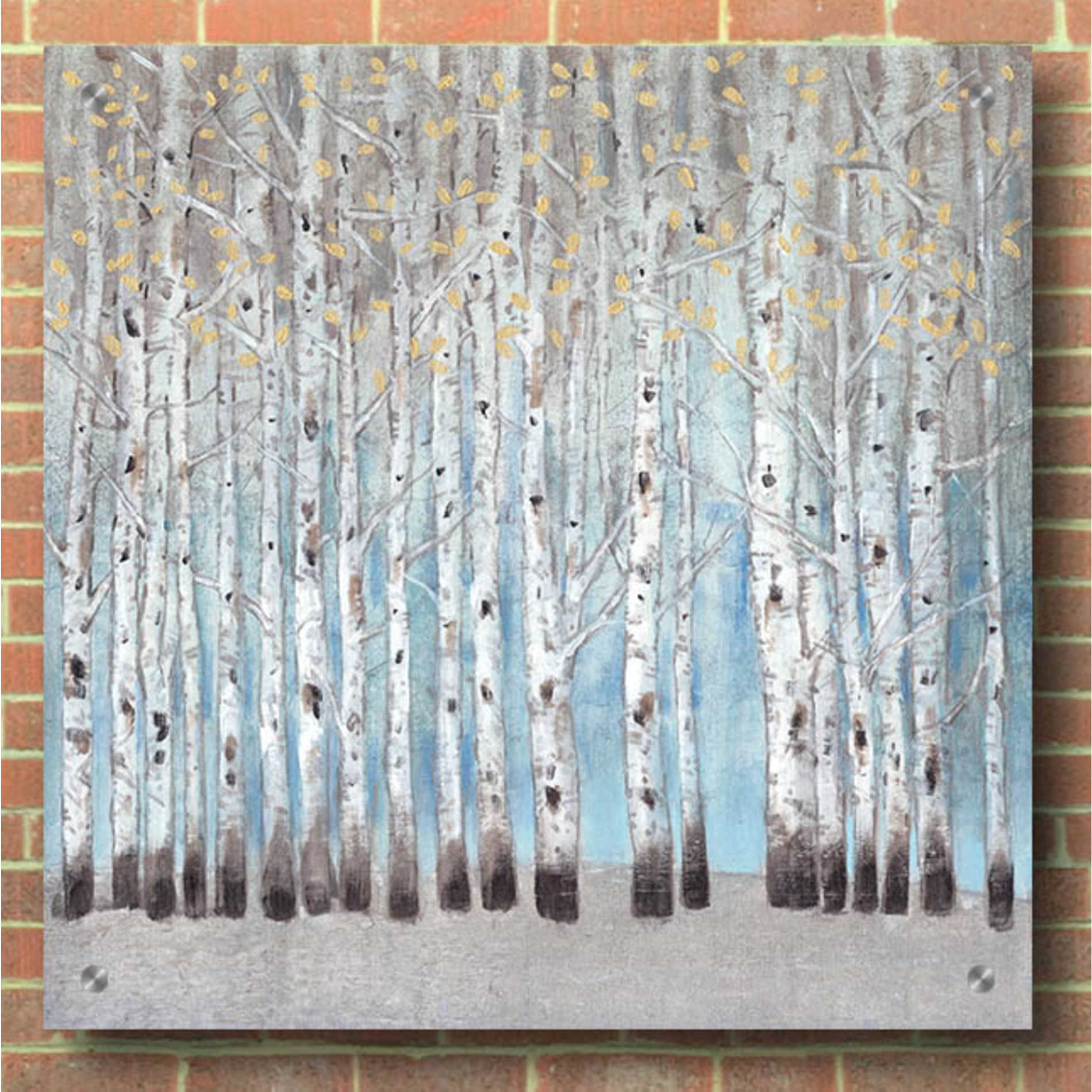 Epic Art 'Into the Forest I' by Tim O'Toole, Acrylic Glass Wall Art,36x36