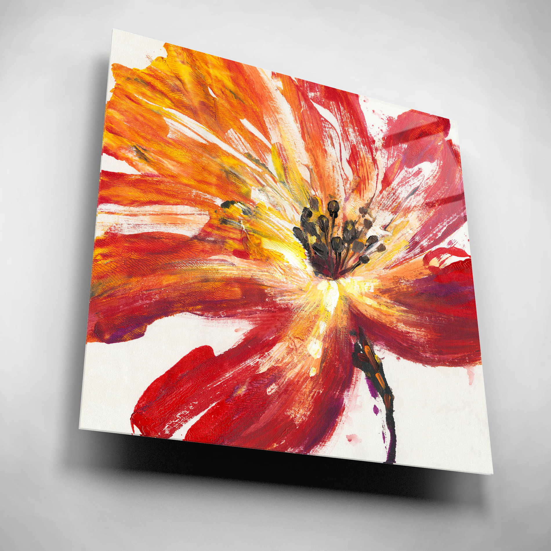 Epic Art 'Fleur Rouge II' by Tim O'Toole, Acrylic Glass Wall Art,12x12