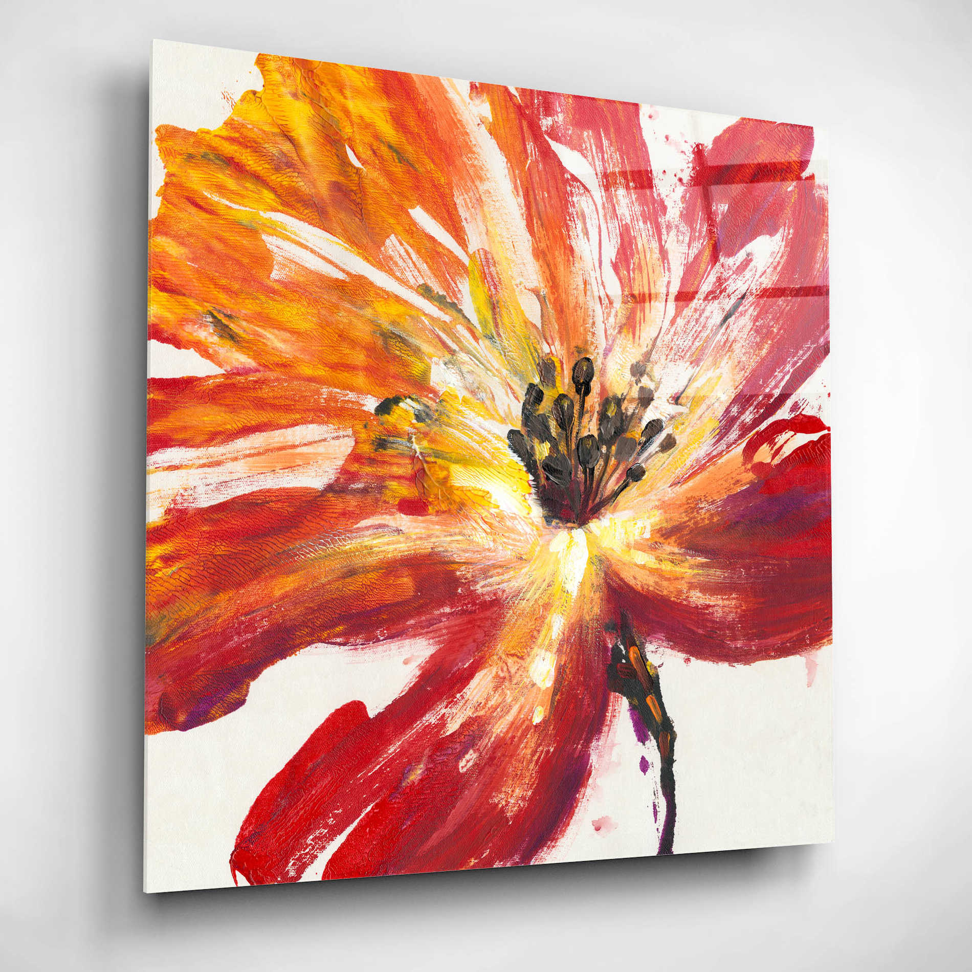 Epic Art 'Fleur Rouge II' by Tim O'Toole, Acrylic Glass Wall Art,12x12