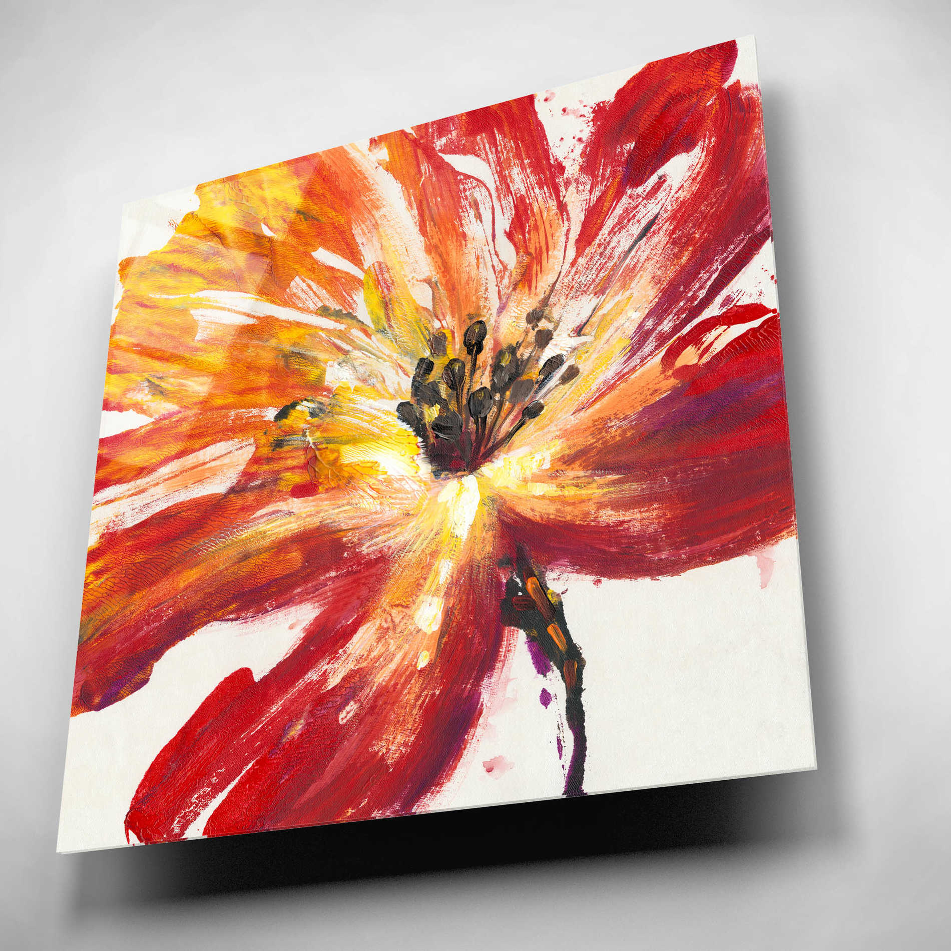 Epic Art 'Fleur Rouge II' by Tim O'Toole, Acrylic Glass Wall Art,12x12