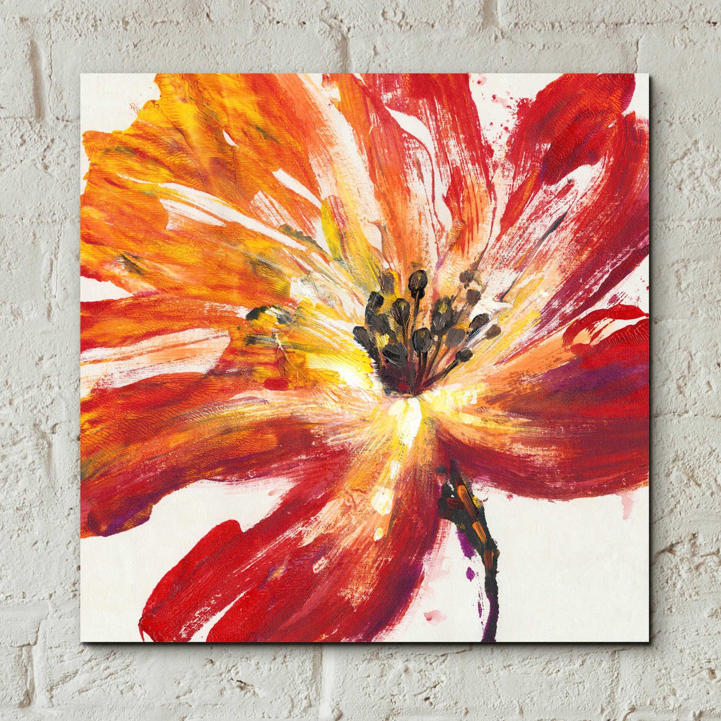 Epic Art 'Fleur Rouge II' by Tim O'Toole, Acrylic Glass Wall Art,12x12