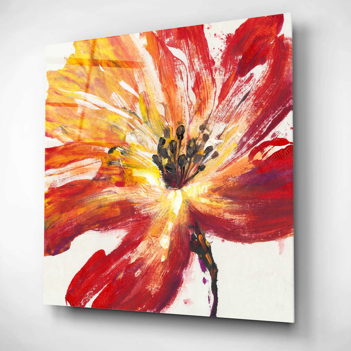 Epic Art 'Fleur Rouge II' by Tim O'Toole, Acrylic Glass Wall Art,12x12