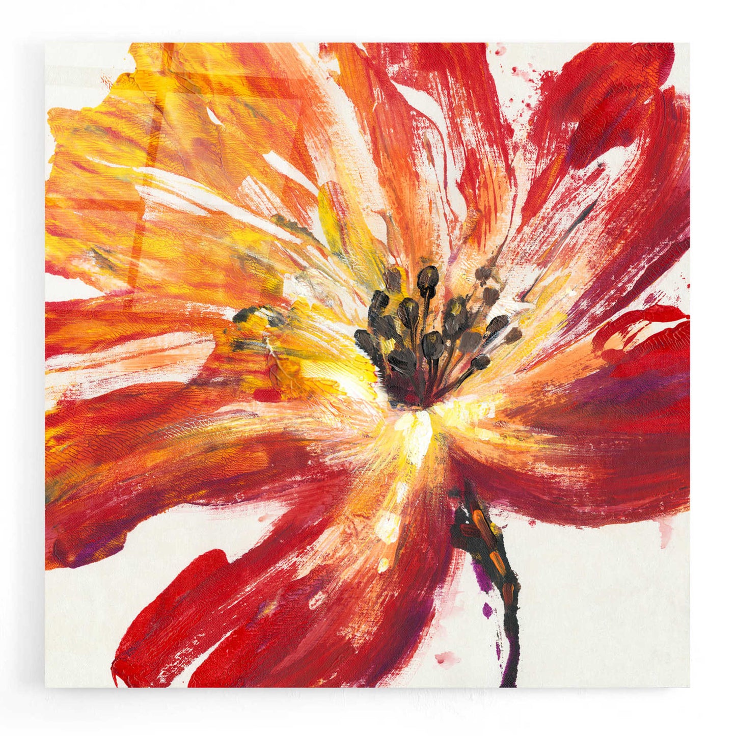 Epic Art 'Fleur Rouge II' by Tim O'Toole, Acrylic Glass Wall Art,24x24