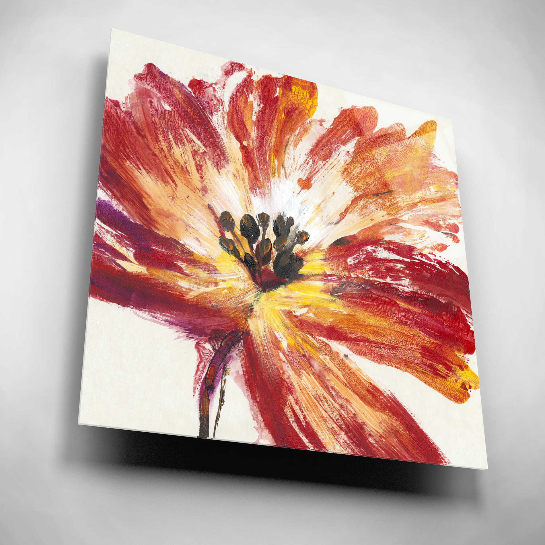 Epic Art 'Fleur Rouge I' by Tim O'Toole, Acrylic Glass Wall Art,12x12