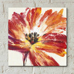 Epic Art 'Fleur Rouge I' by Tim O'Toole, Acrylic Glass Wall Art,12x12